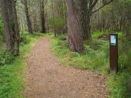 Image on trail